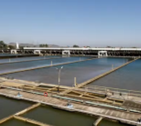 Painel JB 1ª Edição 25/11/2025