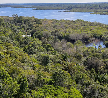 Painel JB 1ª Edição 24/10/2025