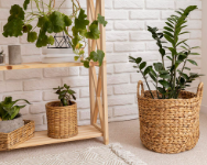 Cestas na decoração