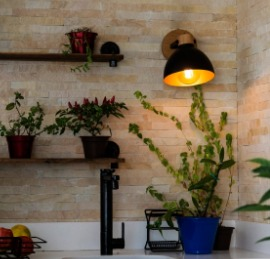 Como iluminar plantas