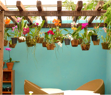 Jardim suspenso