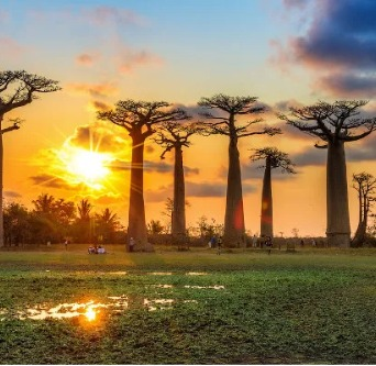 Continente Africano