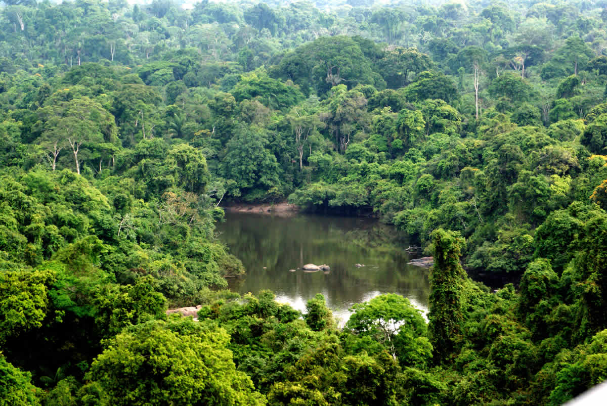 Estações da Amazônia