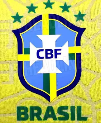 Desempenho seleção brasileira
