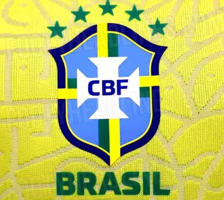 Seleção brasileira e torcedores