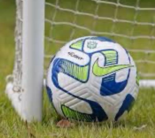 Raio-X da Vigésima Quinta Rodada do Campeonato Brasileiro