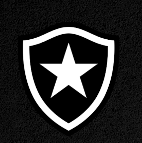 Planos do Botafogo para o ano