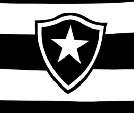 Botafogo procura um novo técnico