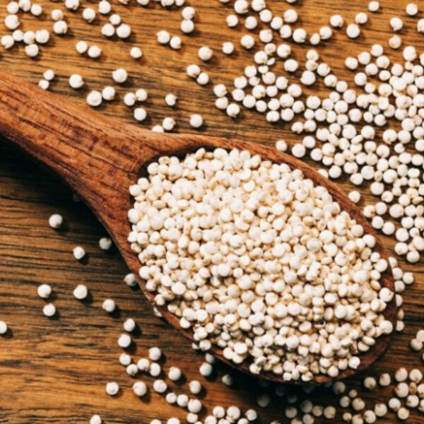 Desempenho da quinoa