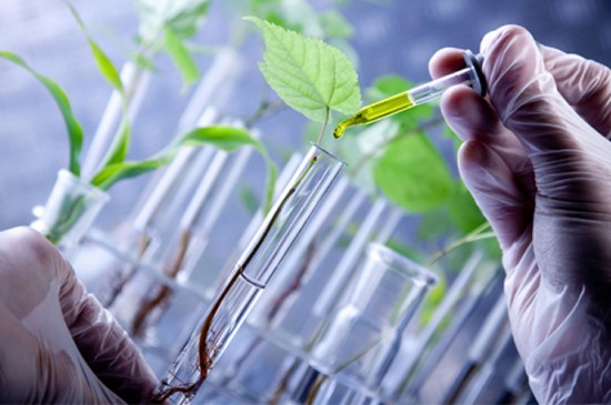 #78 - Biotecnologia