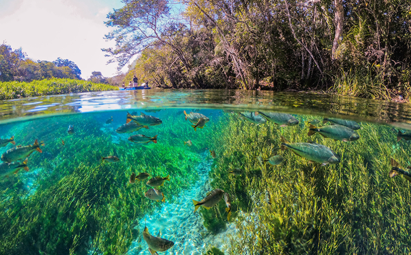 Destinos Sustentáveis