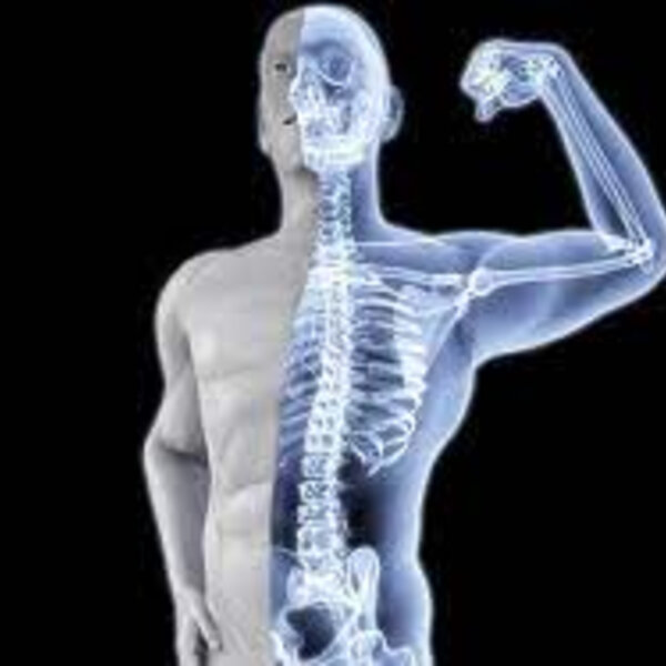 Atividades físicas para fortalecer os ossos