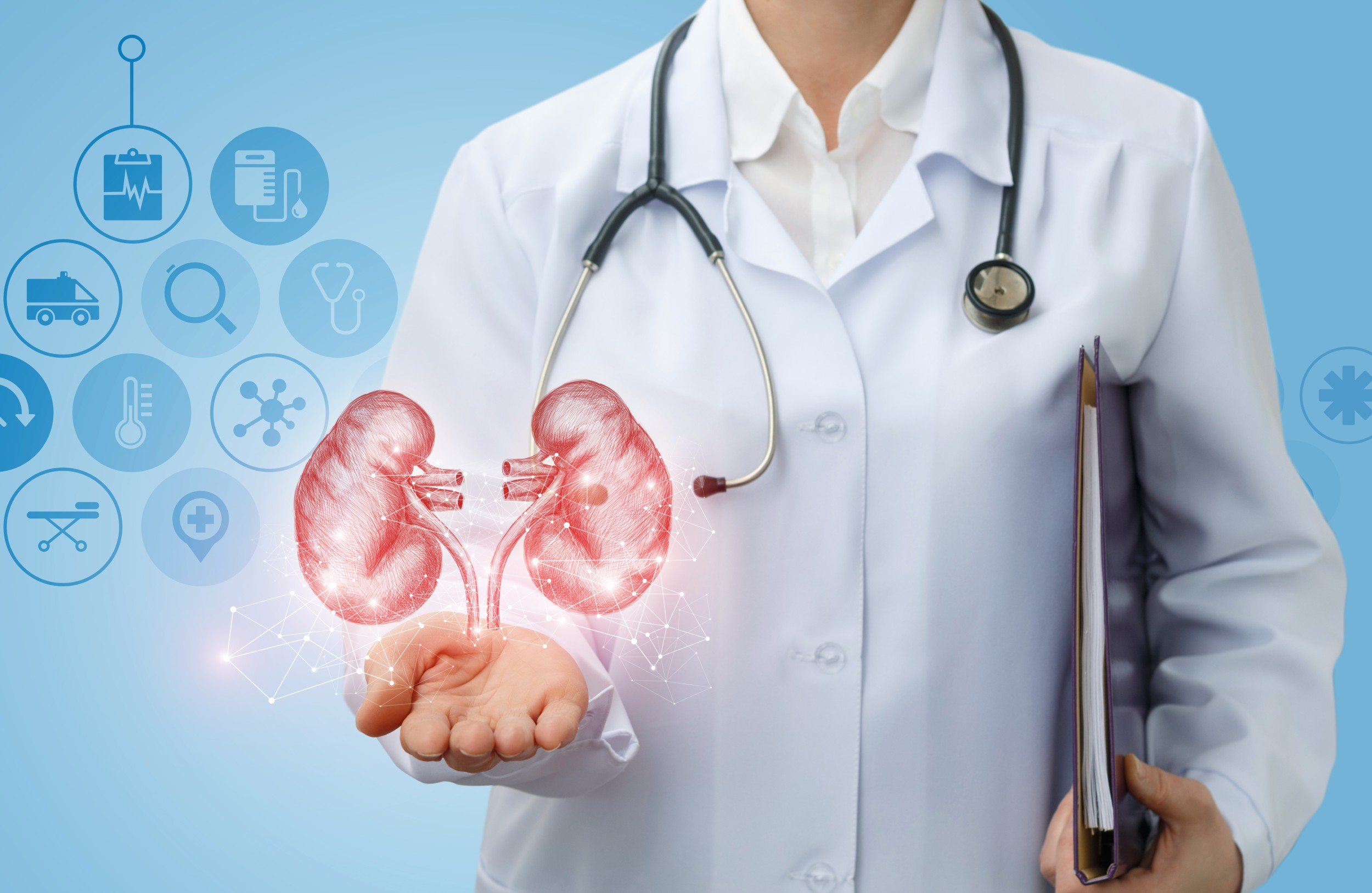 Problema no testículo, que médico procurar