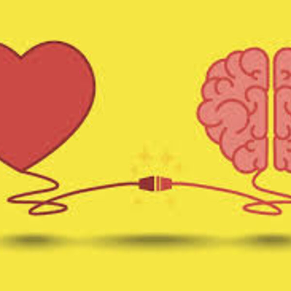 Ligação entre coração e cérebro