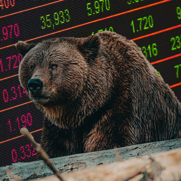 Você sabe o que significa Bear Market?