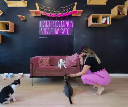 Gato Café