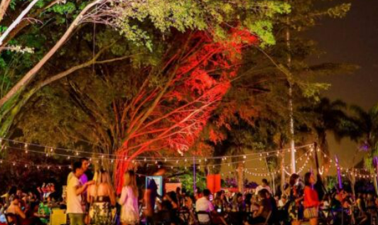 Festival Harmonia