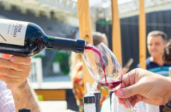 Rio Wine & Food Festival e Vinhos de Portugal