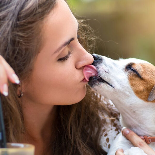 Hoje é Dia do Beijo! Você beija seu cachorro ou gato?