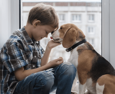 12/10/2023 Proximidade das crianças com os pets