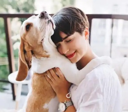 Como demonstrar o amor por nossos pets
