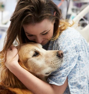 Pet Terapia