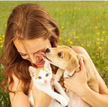 Chamado especial para os pets