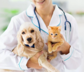 Dia do veterinário