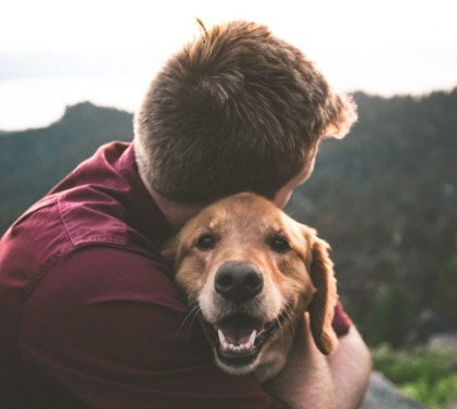 Respeitando as diferenças entre humanos e pets
