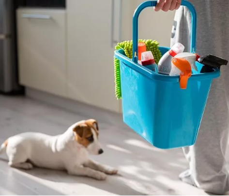 23/11/2023 Cuidado com produtos tóxicos