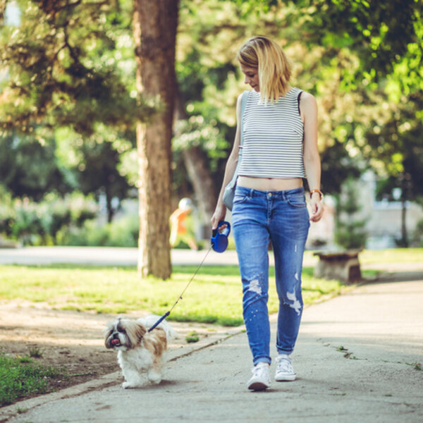 A importância dos passeios para os cães