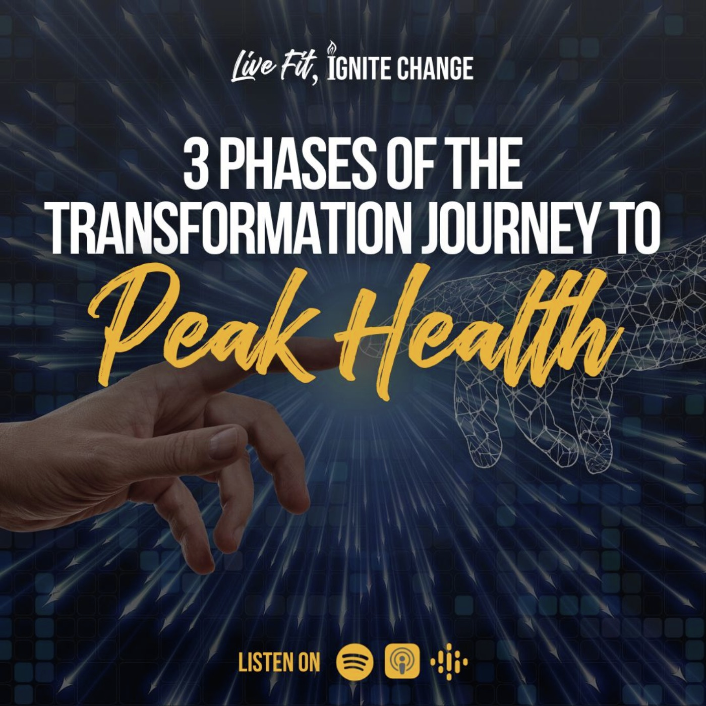 3 Phases of the Transformation Journey to Peak Health