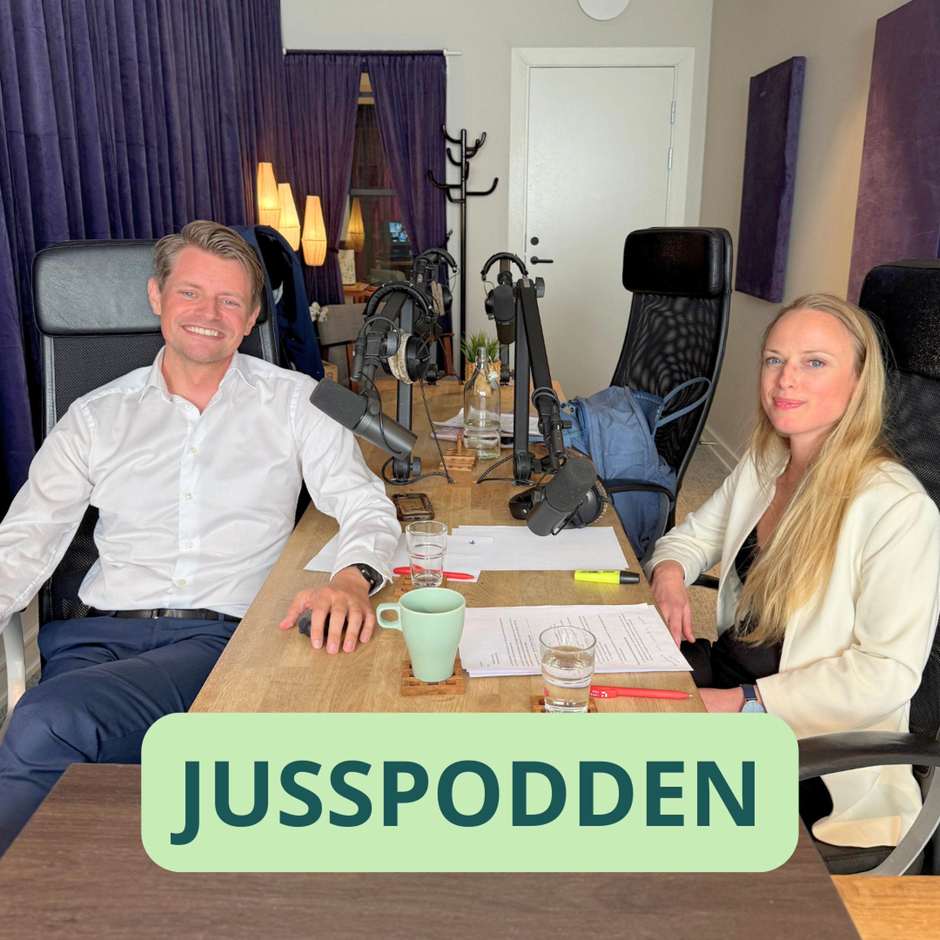 Jusspodden Podcast: §241 Peter Frølich: Stortinget drukner seg selv! Jusspodden episode image