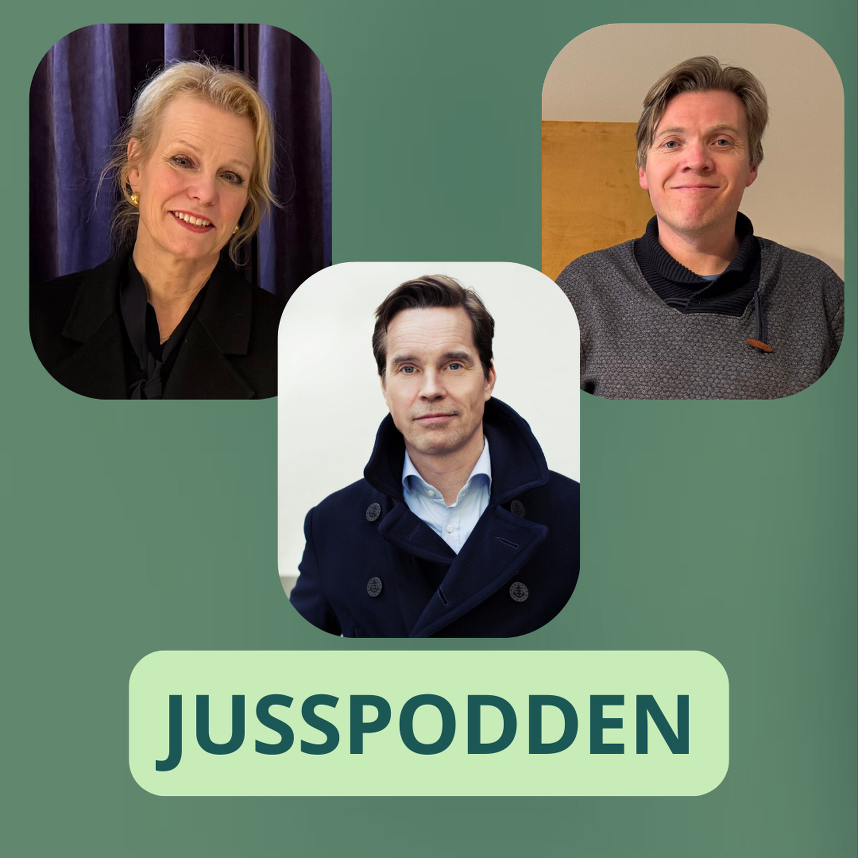 §294 Førdefjord-dommen: alle skal følge Høyesterett – bortsett fra staten? episode artwork