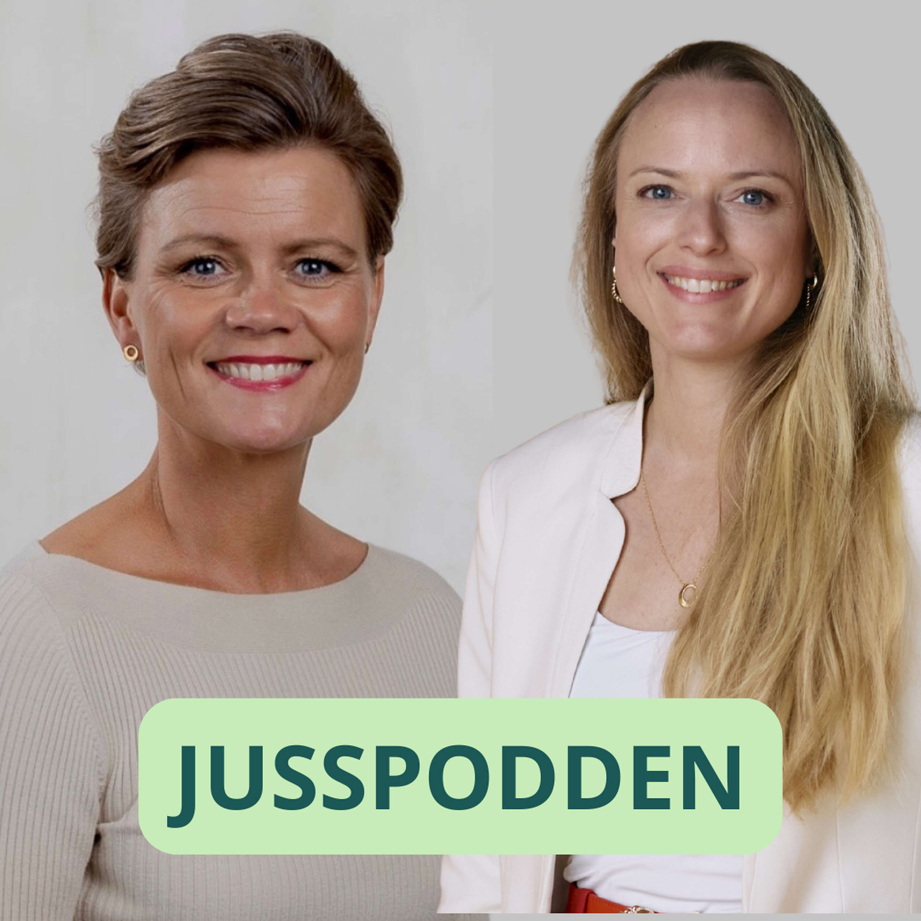 §293 Kvinnehelse og endometriose: blir kvinners rettigheter ivaretatt? episode artwork