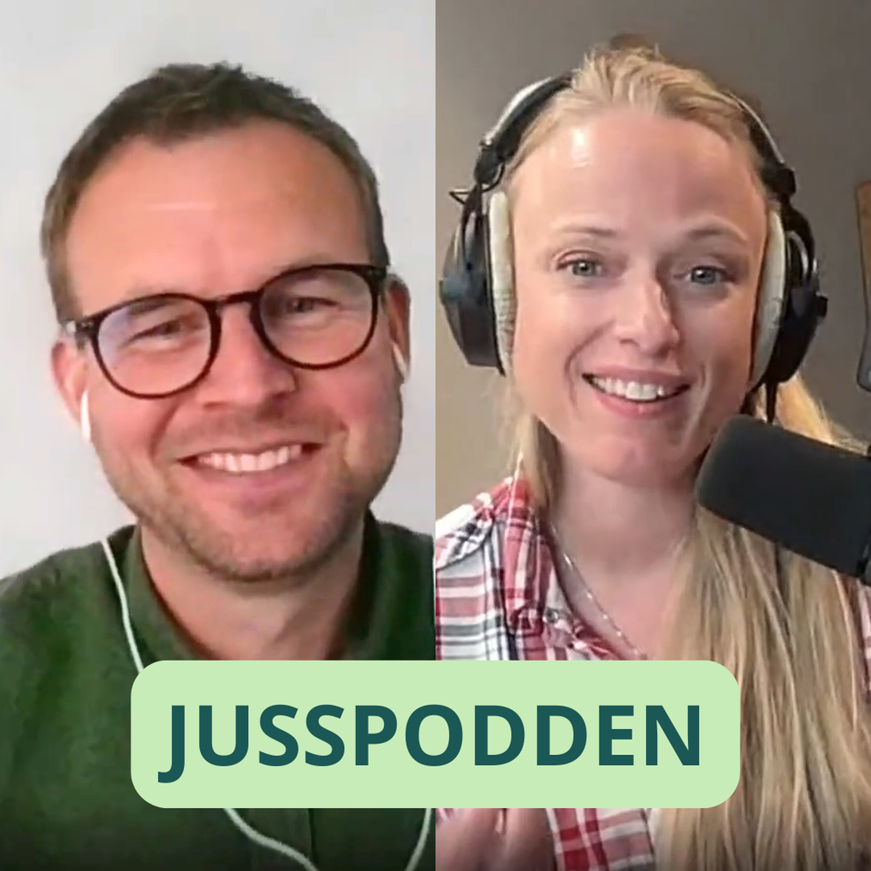 Jusspodden Podcast: §253 KrFs Kjell Ingolf Ropstad: Justispolitikk starter med familien! Jusspodden episode image