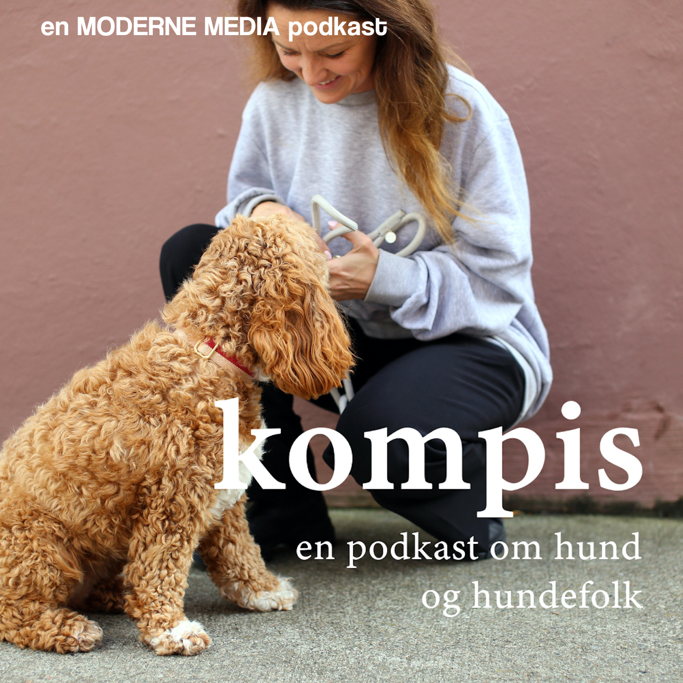 Teaser: Kompis - en podkast om hund og hundefolk, kommer snart! episode artwork