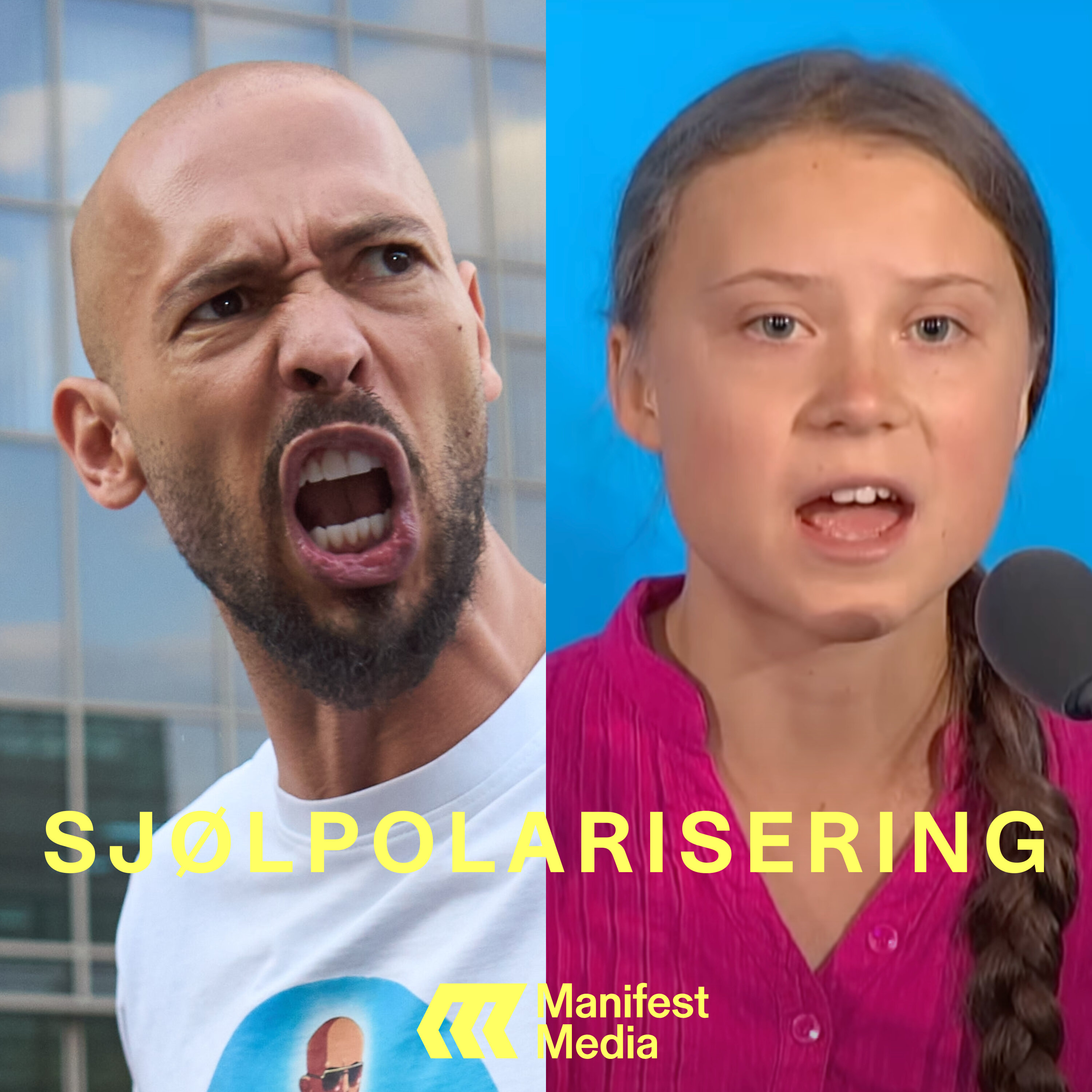 MÍMIR&MARSDAL Podcast: SJØLPOLARISERING#6: Kjønnskrigen MÍMIR&MARSDAL episode image