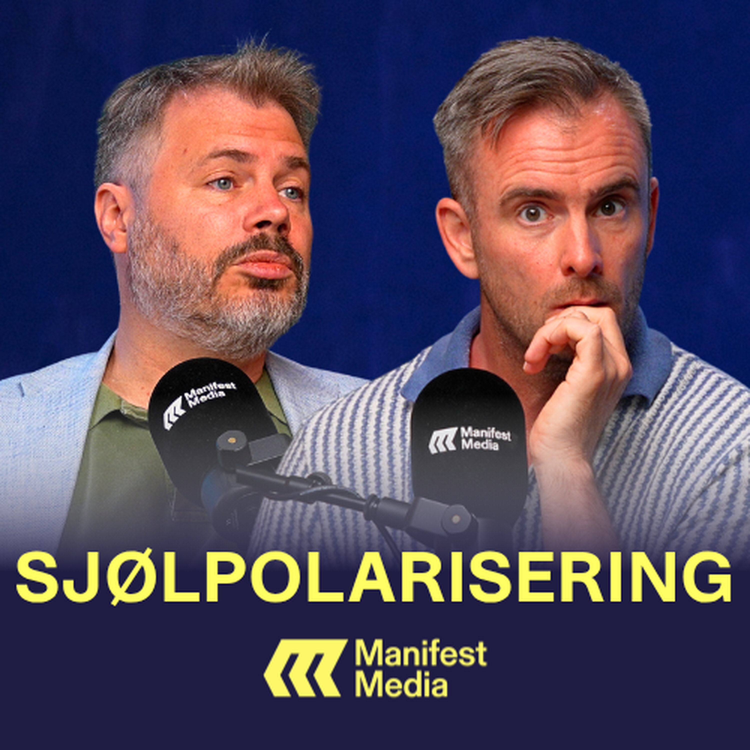 SJØLPOLARISERING: Medienes elitevridning