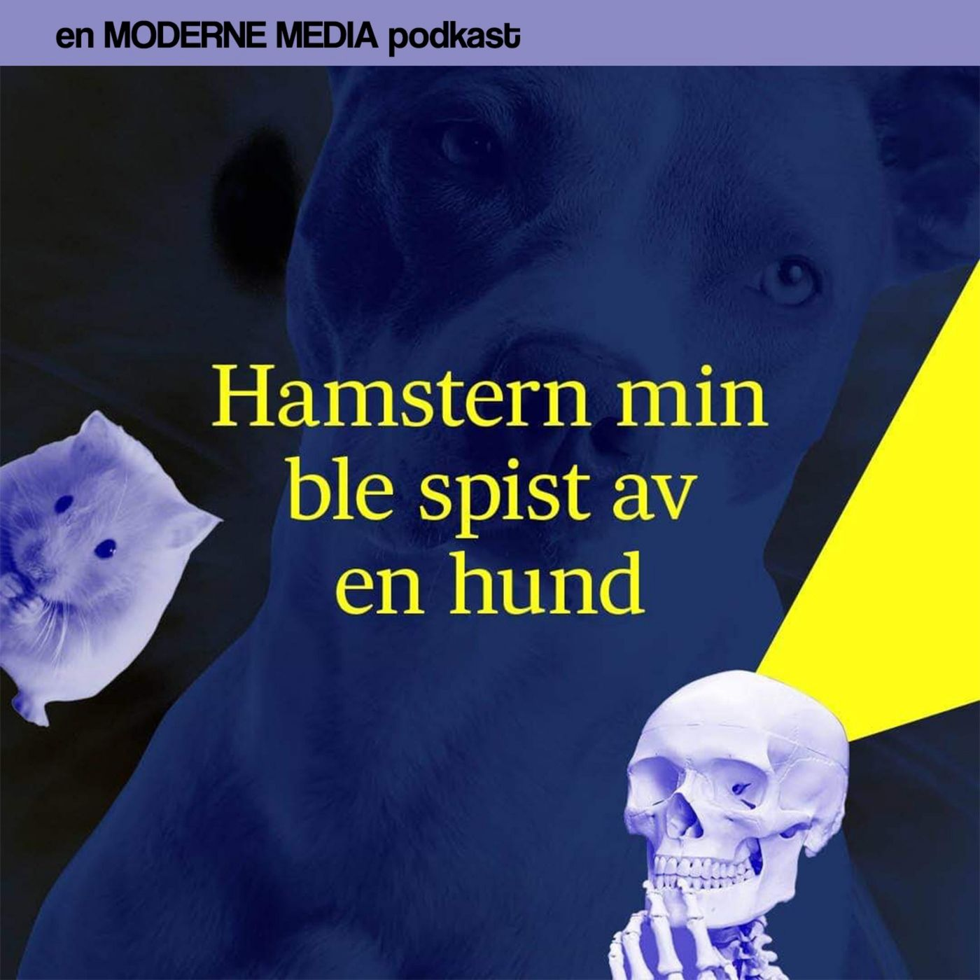 #7 - søvn, en liten død med  Hasse Hope