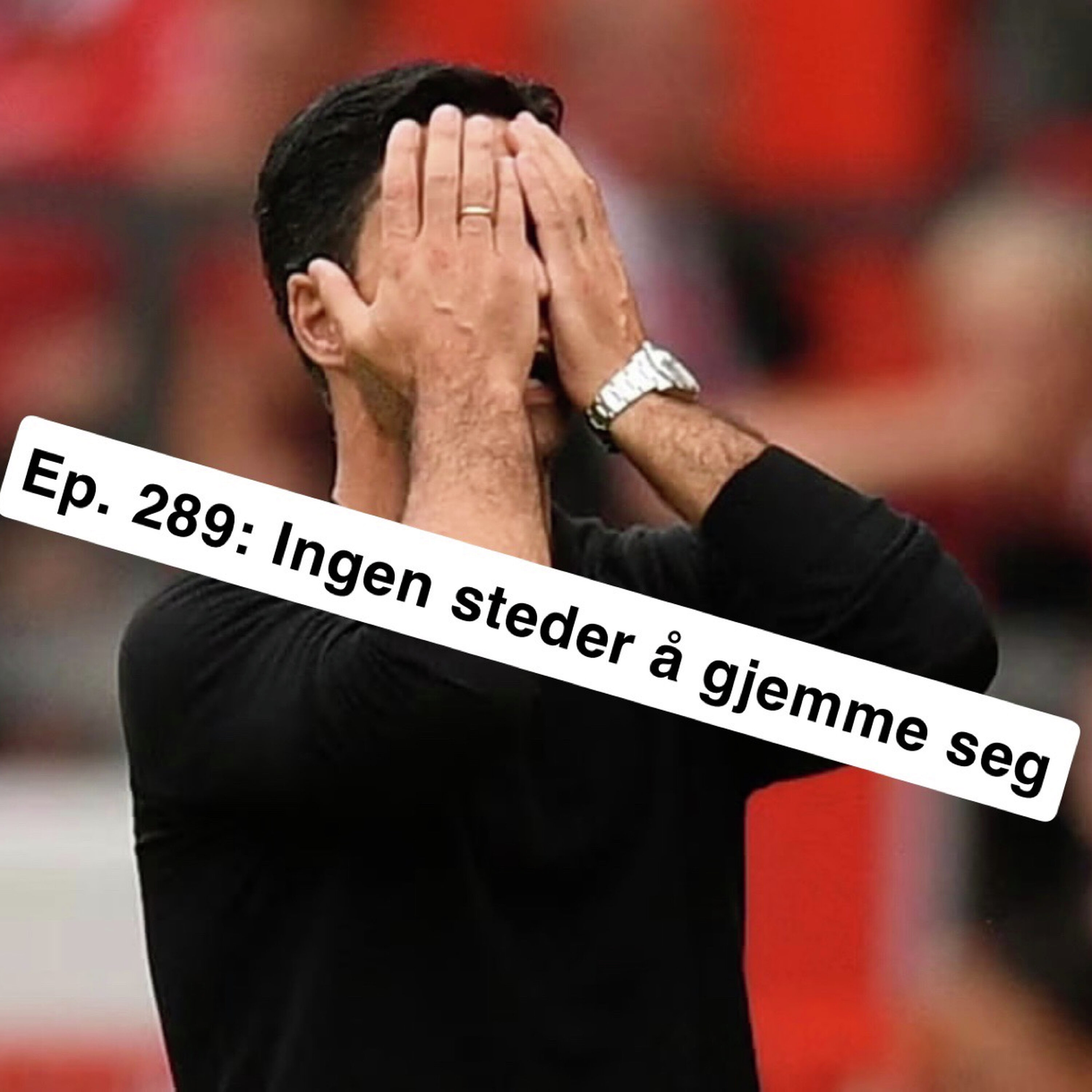 Ep. 289: Ingen steder å gjemme seg episode artwork