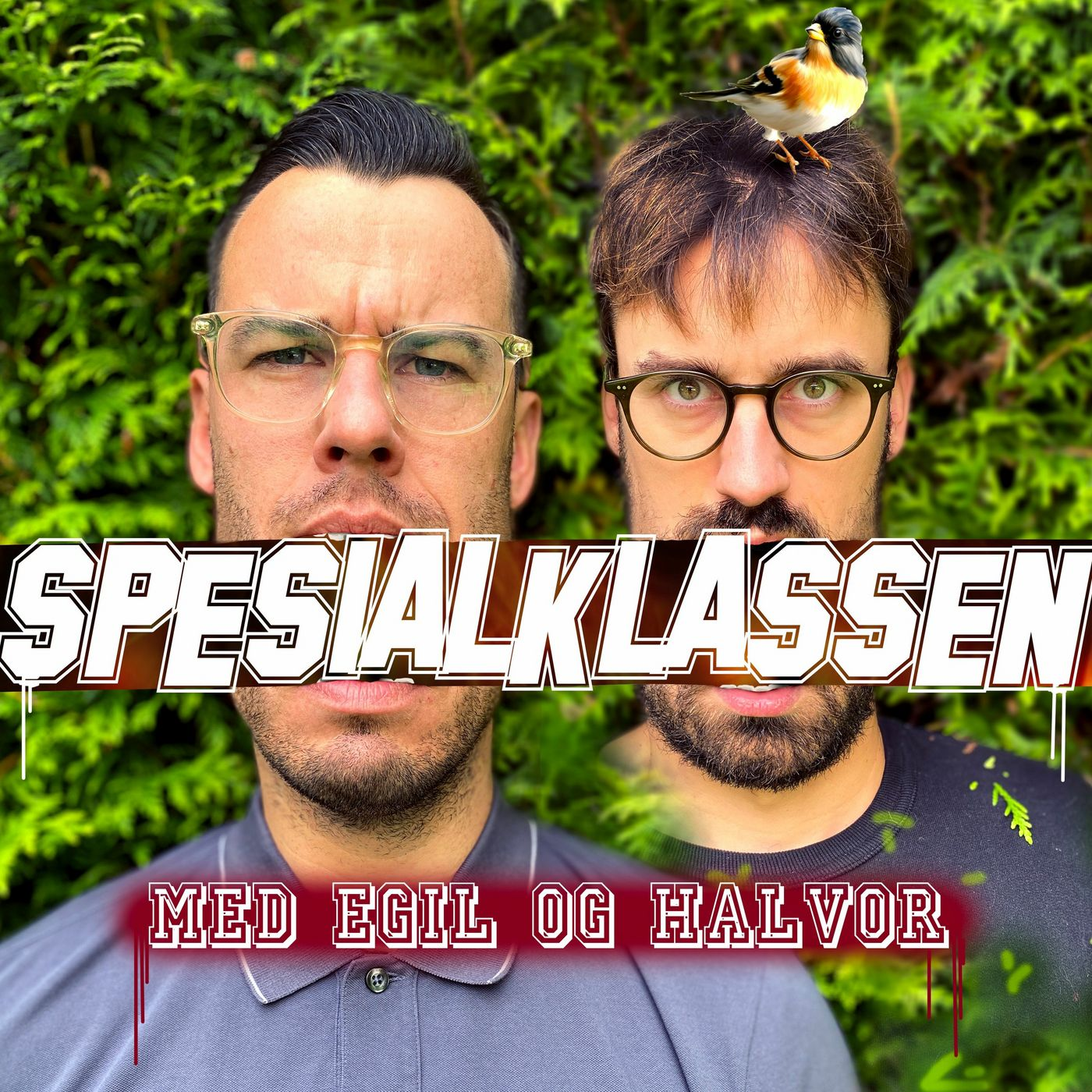 Episode 29: Petter Bø og Mikkal episode artwork