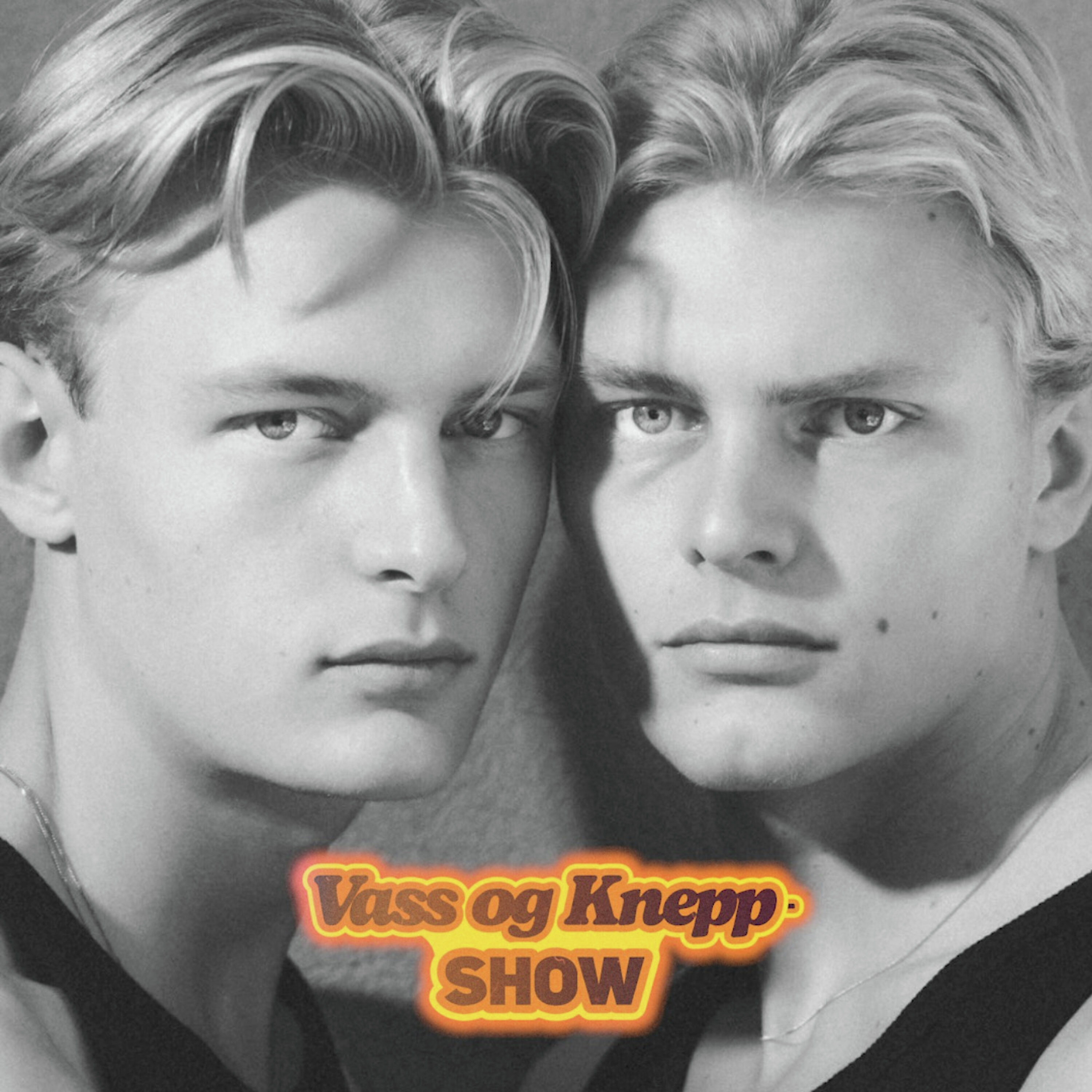Folle får beskjed om å jekke seg ned og vi ringer Korven🌭