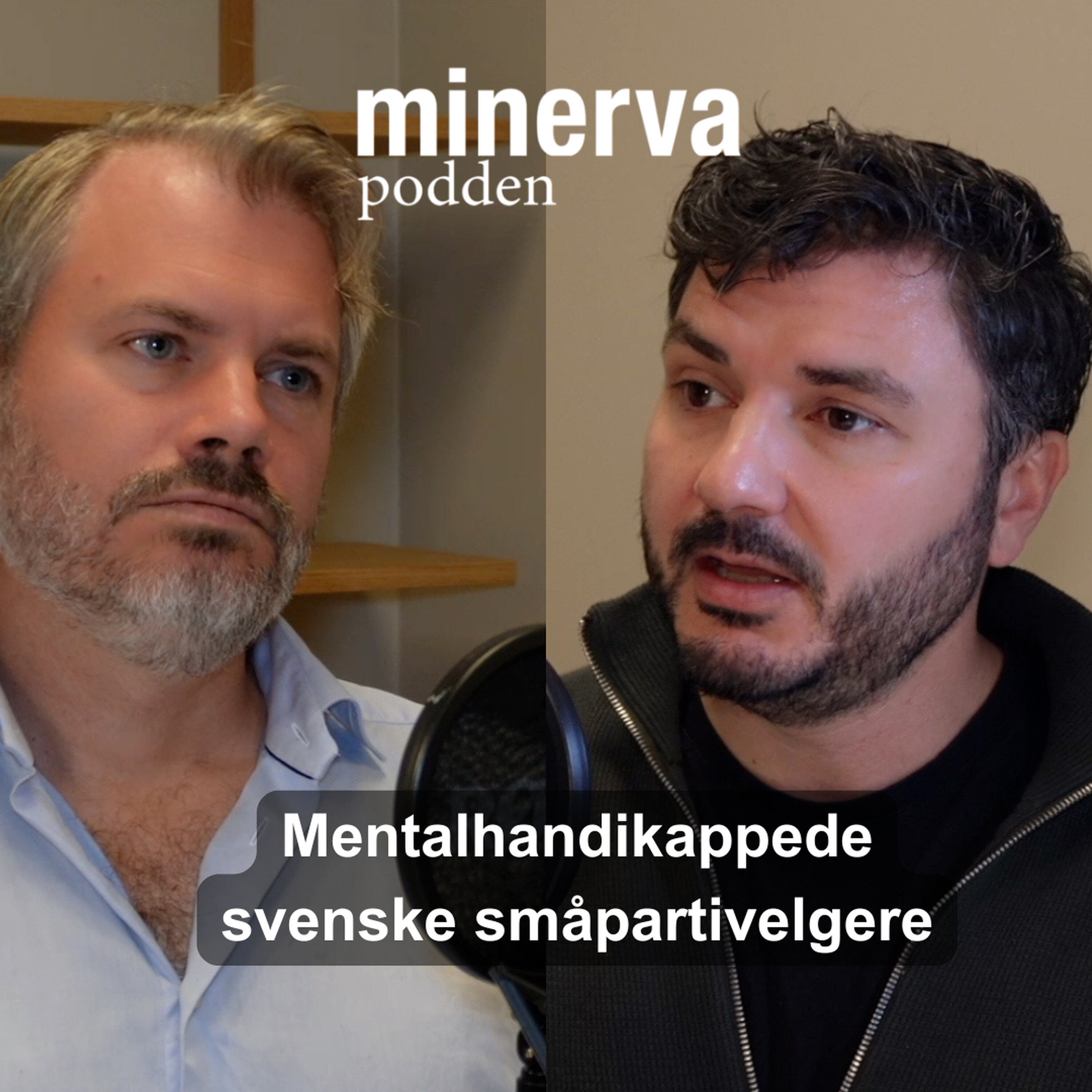 Mentalhandikappede svenske småpartivelgere: Redaksjonsmøte