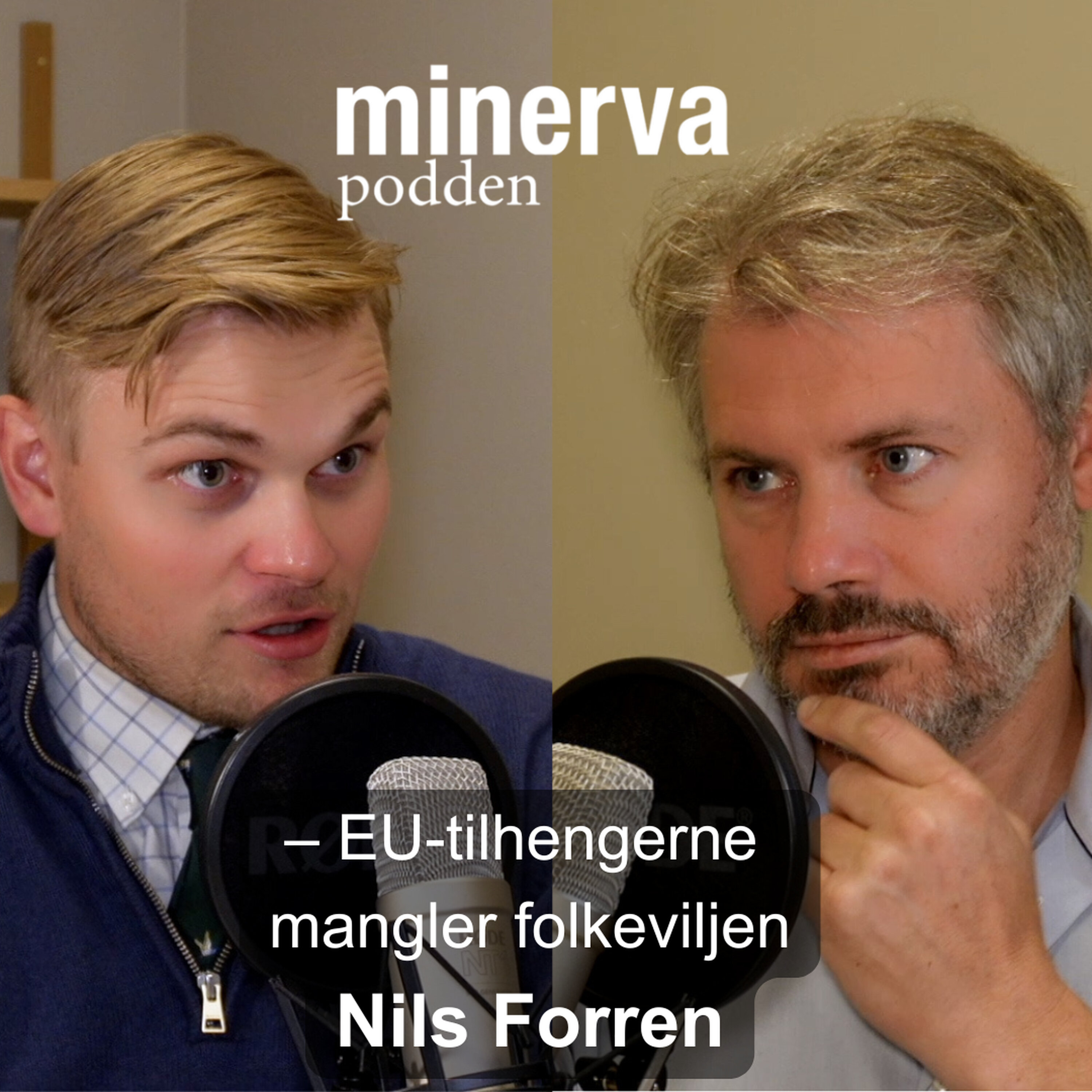 – EU-tilhengerne mangler folkeviljen: Minevasamtale med Nils Forren