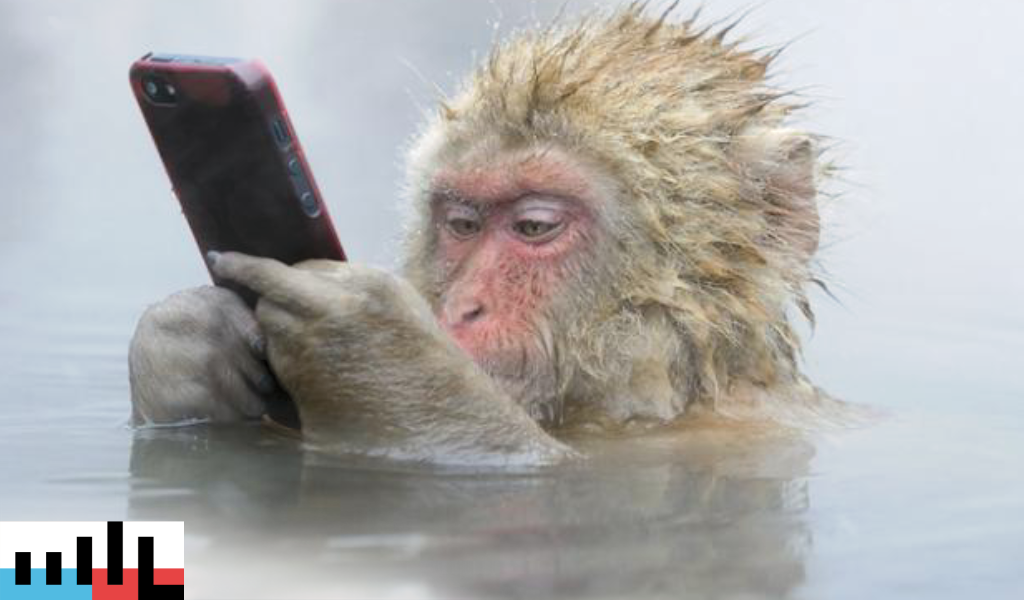 Röhögés vagy dühöngés - miért olvasunk olyan híreket, amiket nem tartunk hitelesnek?