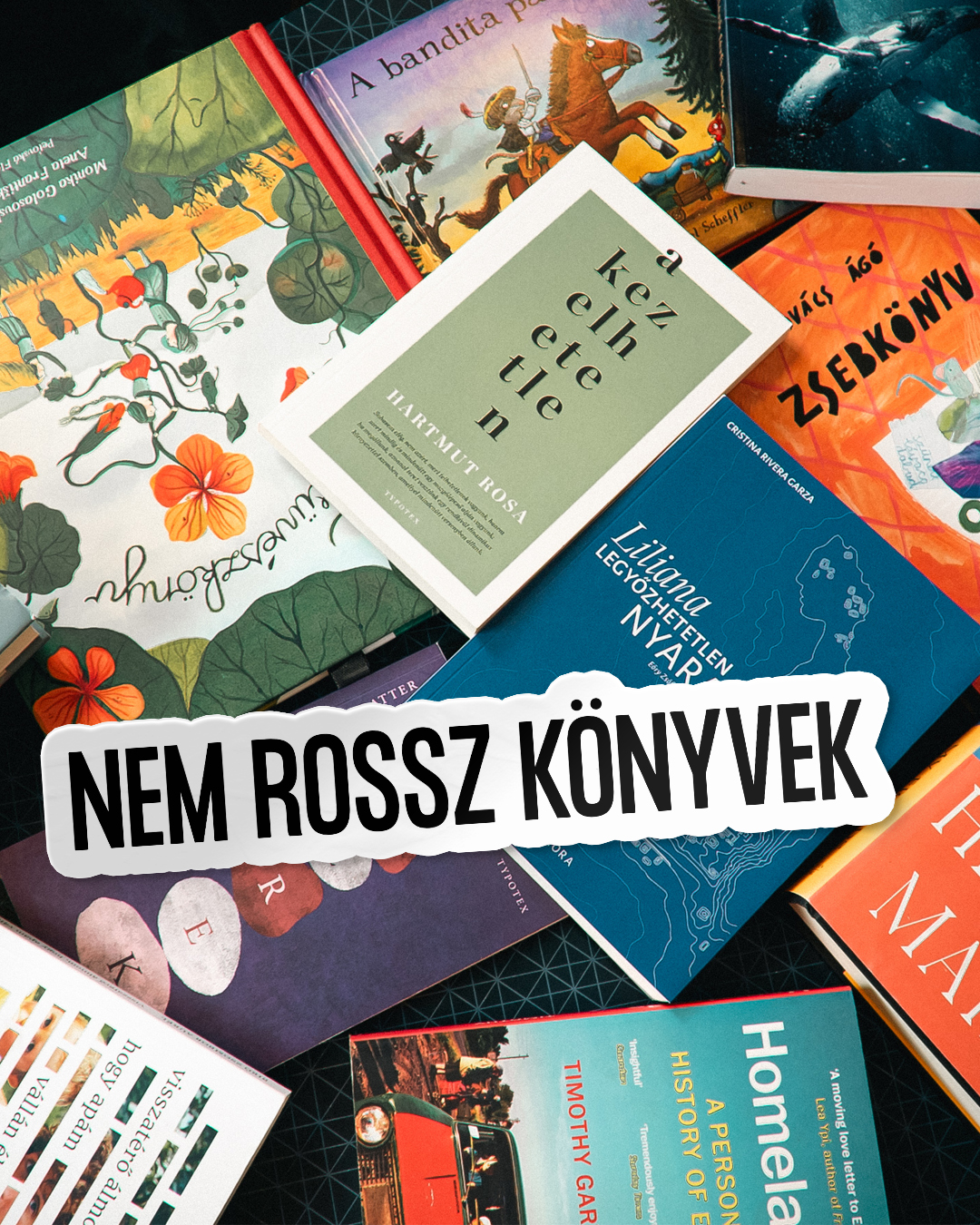 Ezeket a könyveket szerettük idén