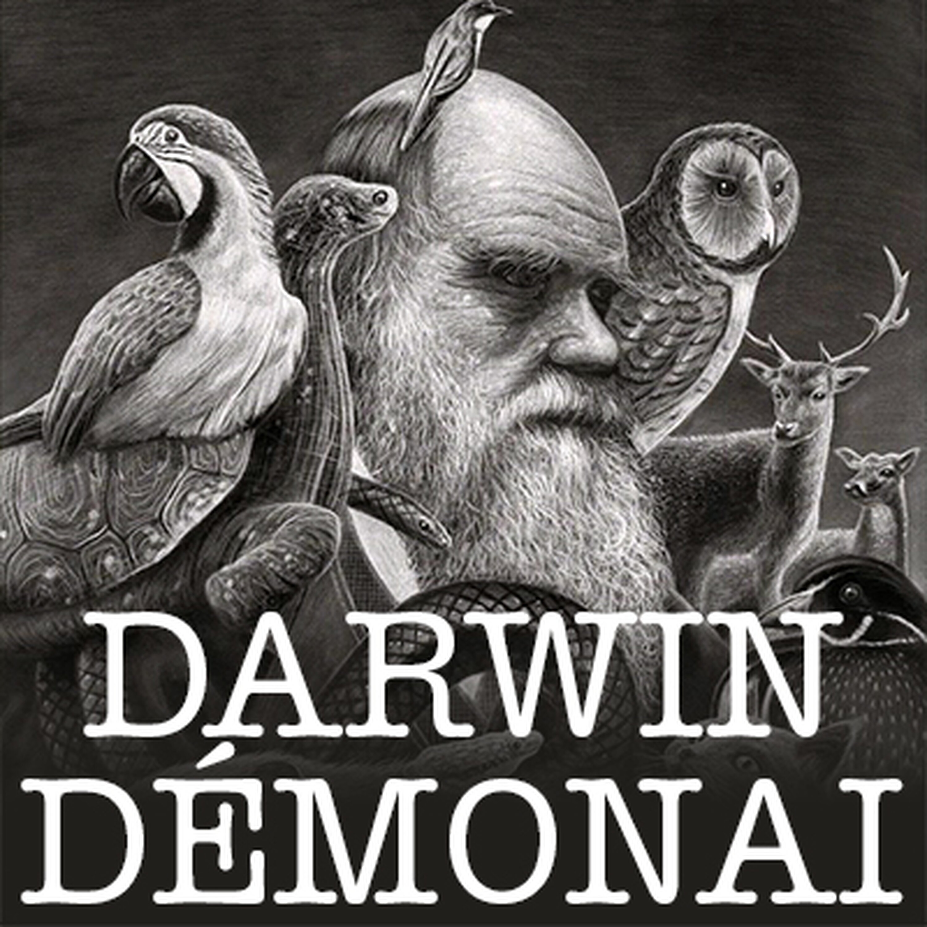 Darwin démonai | Gyógyszer vagy placebo? Hogyan bizonyít az orvostudomány episode artwork