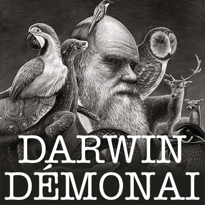 Darwin démonai | A fehér bőr csak 5-6 ezer éve terjedt el Európában, korábban mind barna bőrűek voltunk