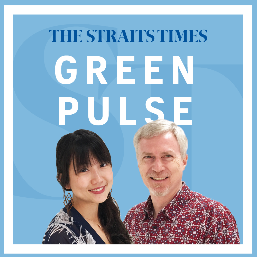 A green New Year: Green Pulse Ep 13
